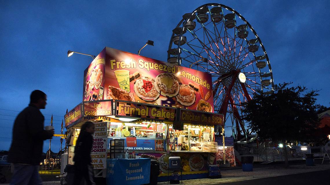 manatee county fair in ellenton